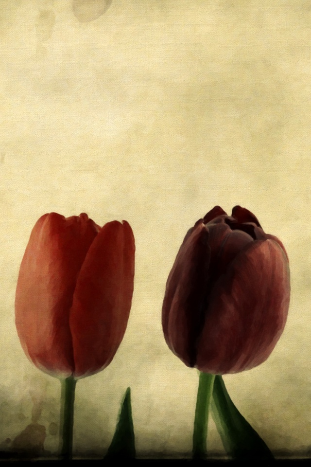 Нарисованные цветы обои
