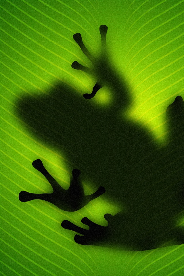 Силуэт лягушки просвечивает сквозь зеленый лист обои