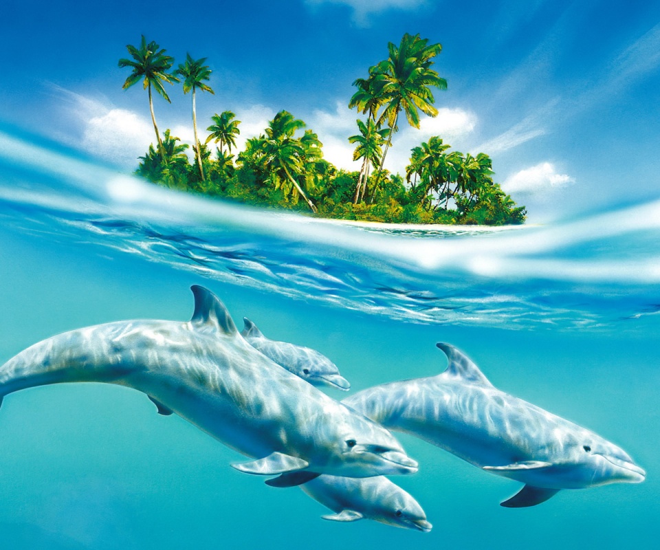 Остров дельфинов обои