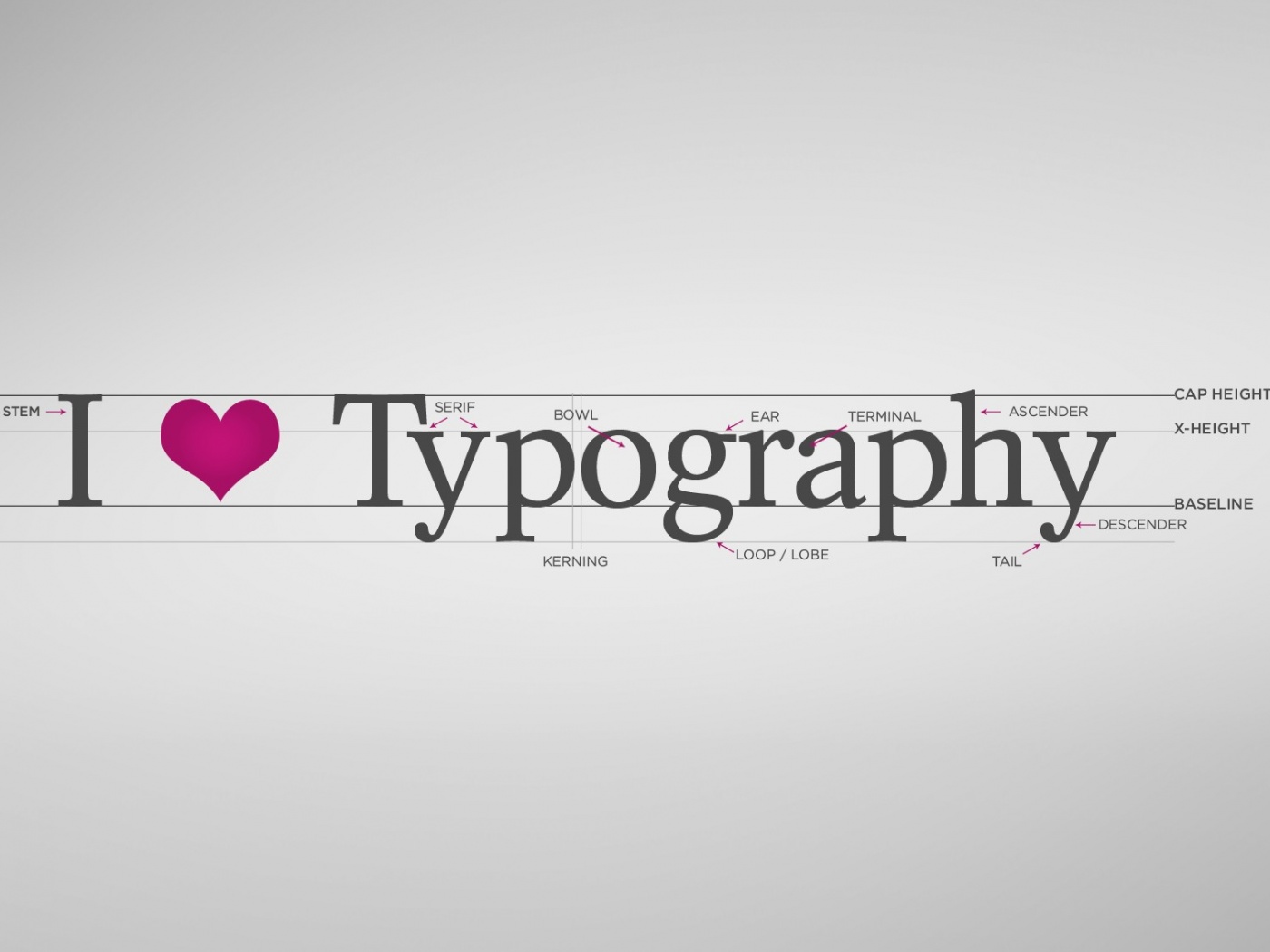 I love typography обои