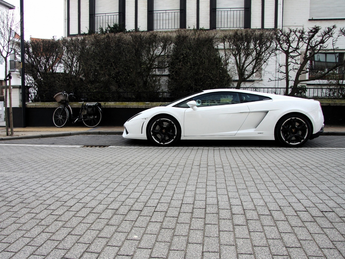 Белый Lamborghini обои