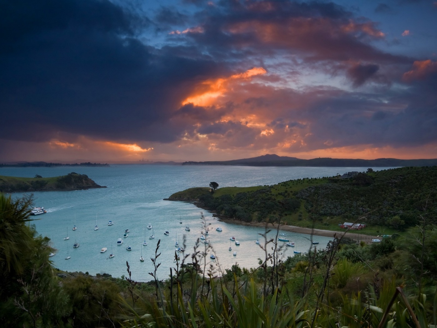 Waiheke Island, New Zealand обои