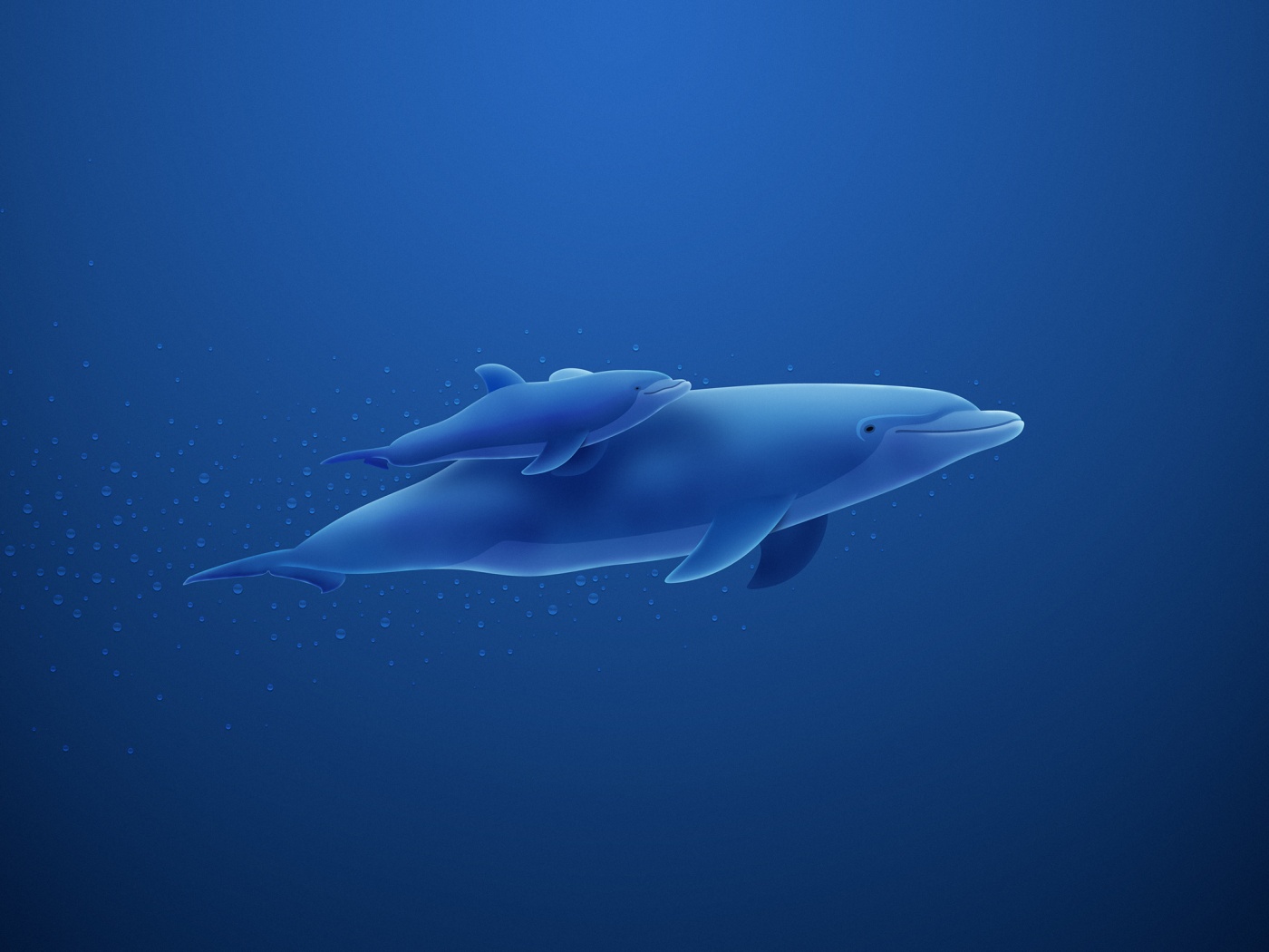 Дельфин и дельфиненок обои