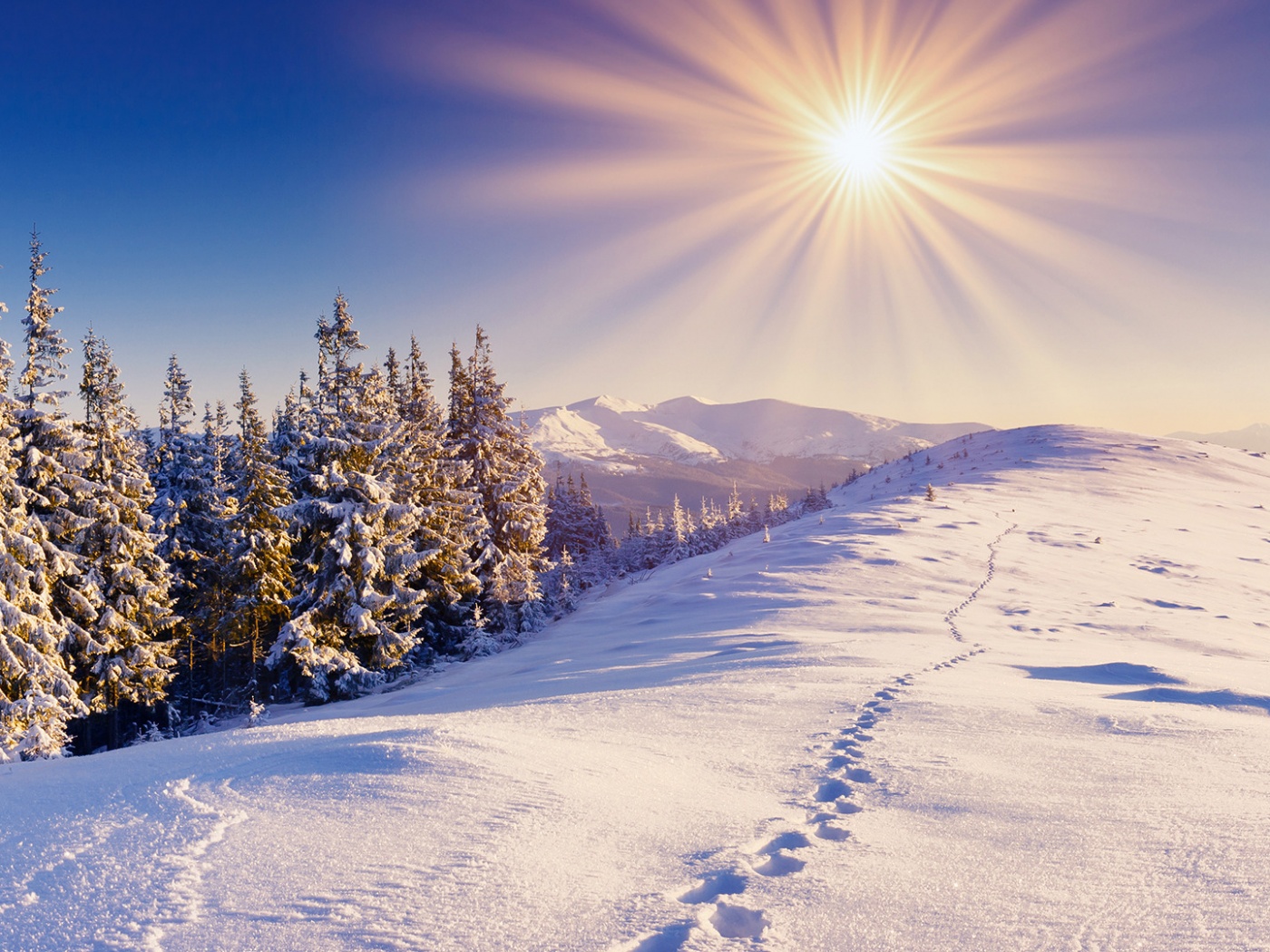 Красивое солнце зима. Солнце зимой. Солнечный зимний день. Яркое солнце зимой. Зима пейзаж.